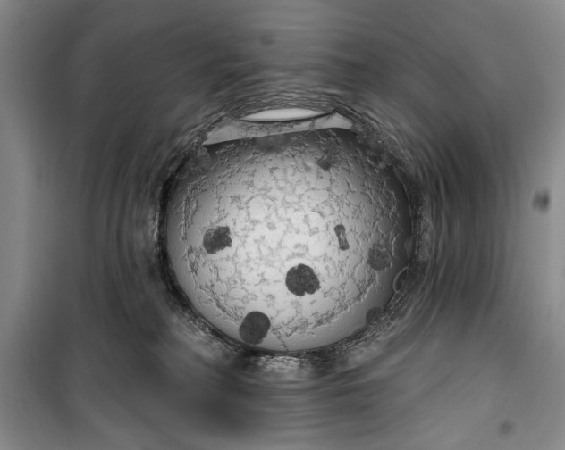 X0000100200230200806131237