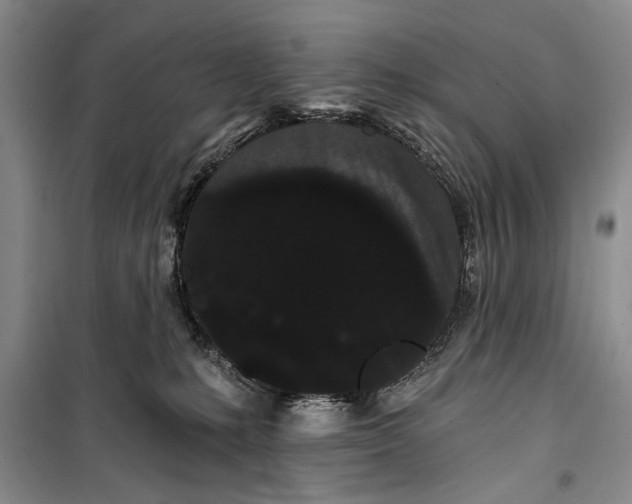 X0000100200231200806131237