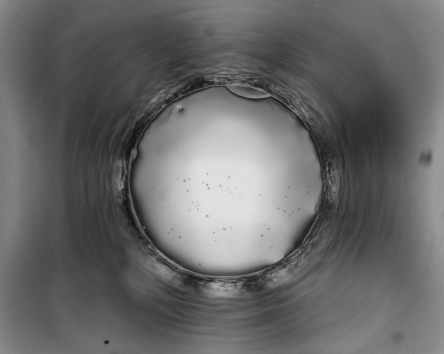 X0000100200232200806131237