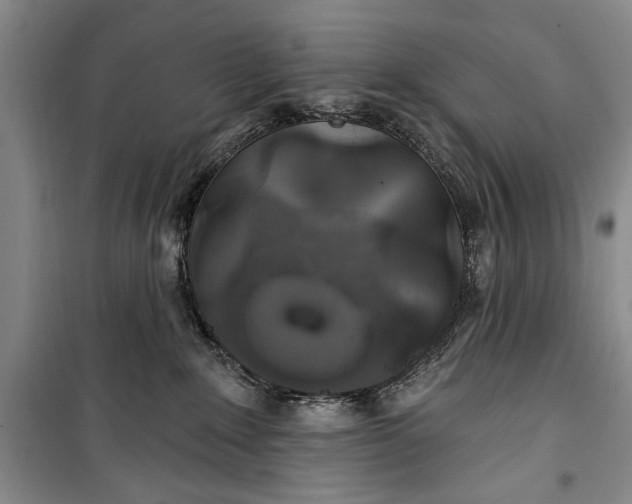 X0000100200235200806131237