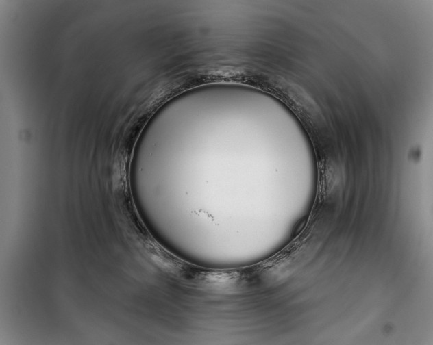 X0000100200236200806131237