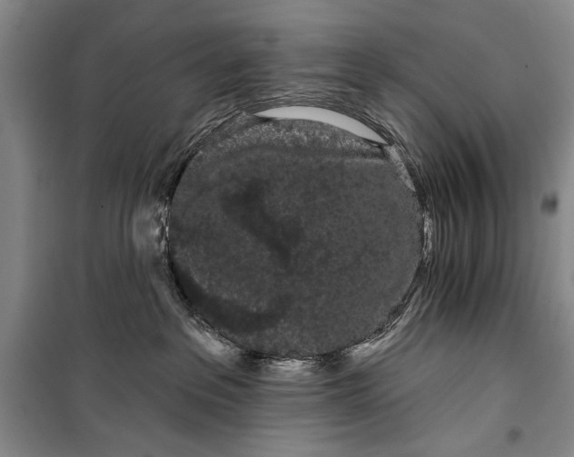 X0000100200237200806131237