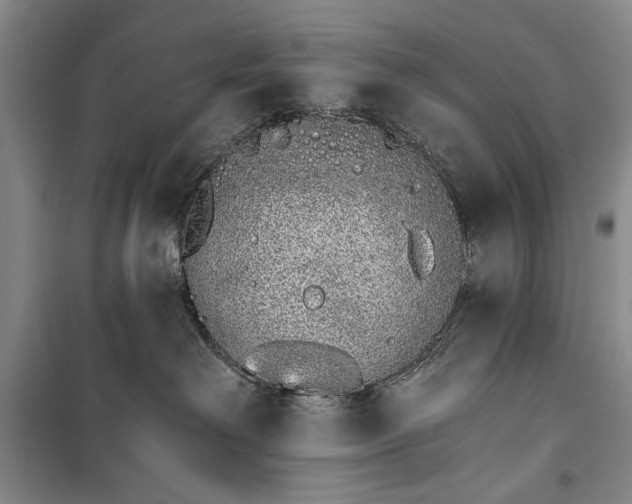 X0000100200238200806131237