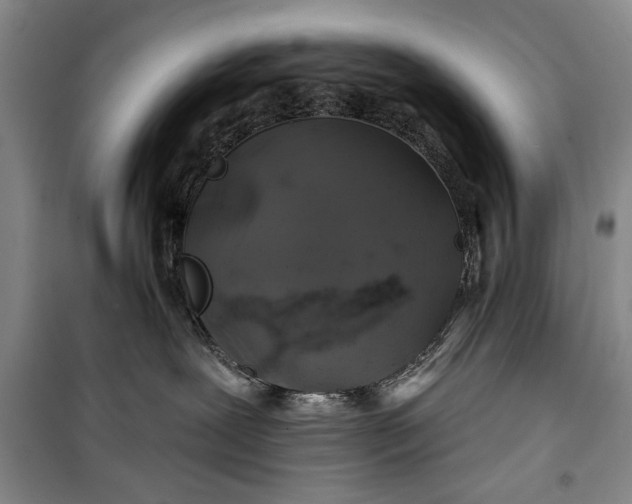 X0000100200239200806131237