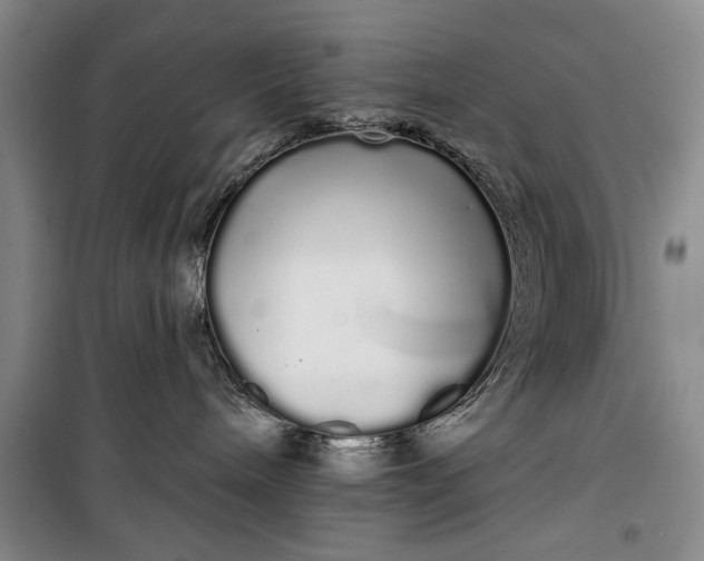 X0000100200240200806131237