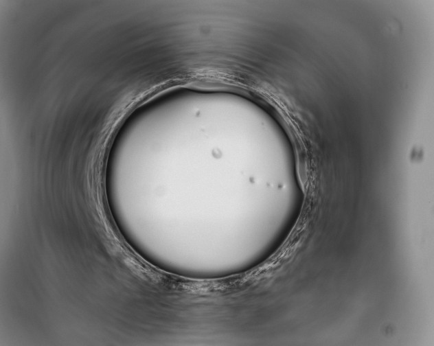 X0000100200241200806131236