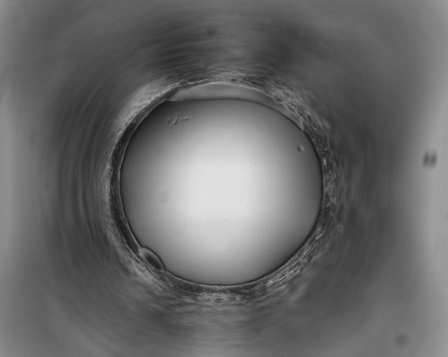 X0000100200242200806131236