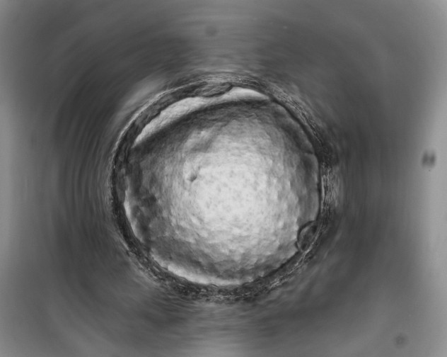 X0000100200243200806131236