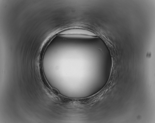 X0000100200244200806131236