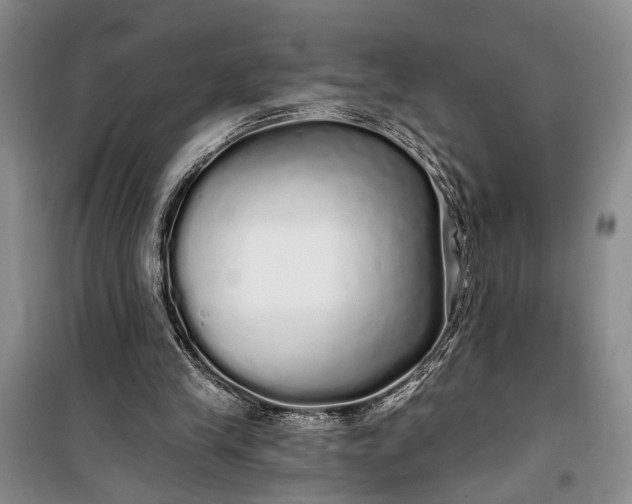 X0000100200245200806131236