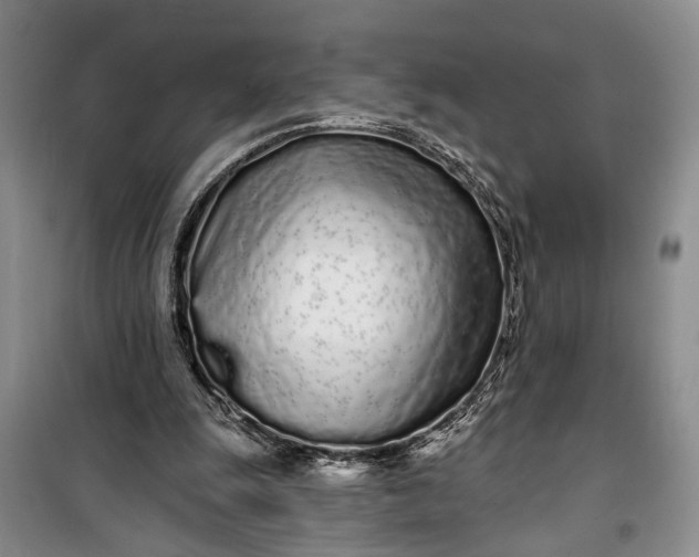 X0000100200247200806131236