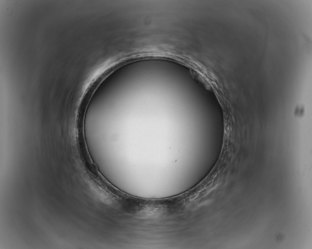 X0000100200248200806131236