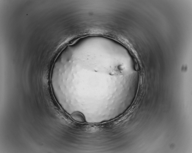 X0000100200249200806131236