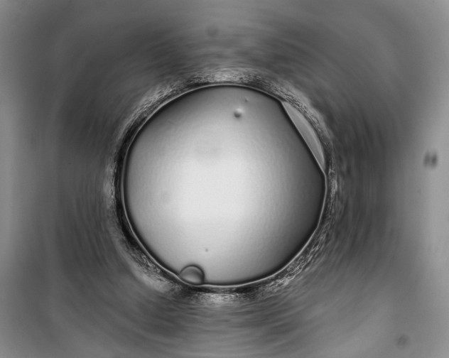 X0000100200250200806131236