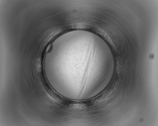 X0000100200251200806131236