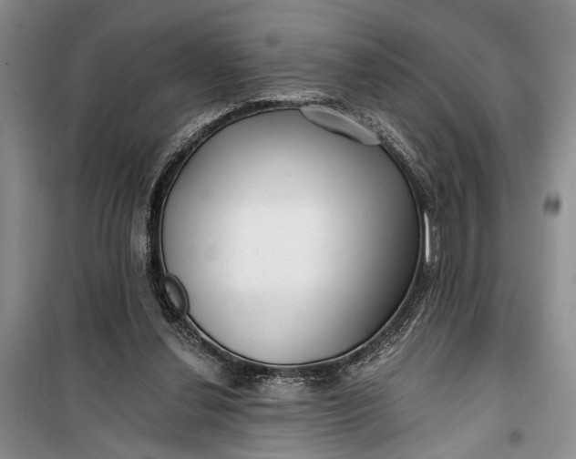 X0000100200252200806131236