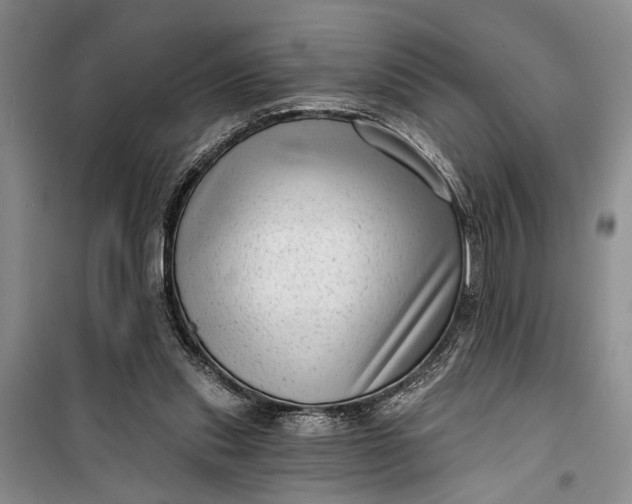 X0000100200253200806131236