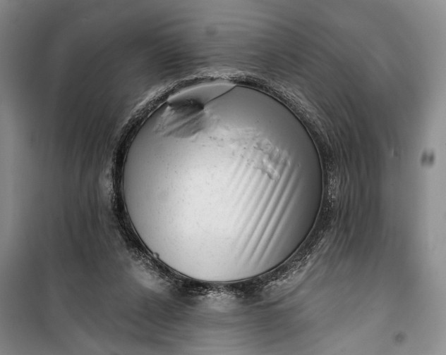 X0000100200256200806131236