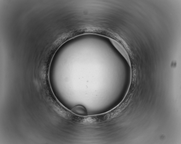 X0000100200257200806131236