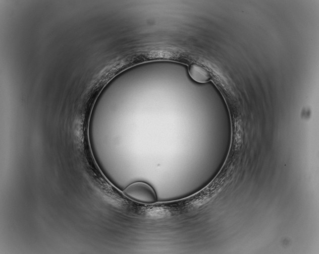 X0000100200258200806131236