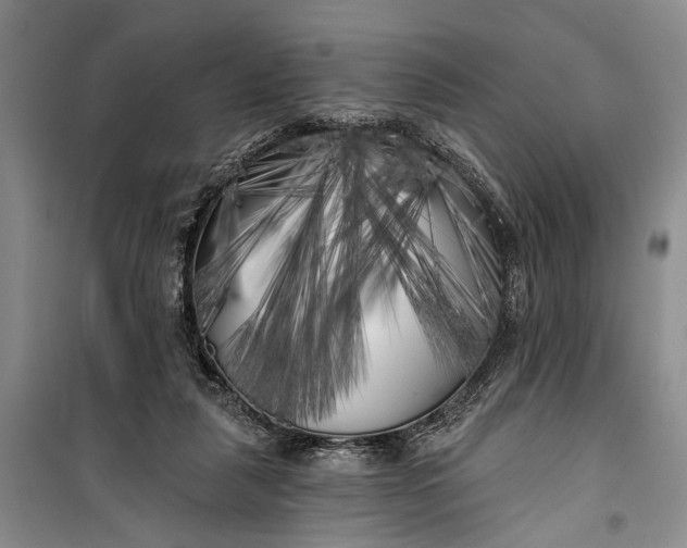 X0000100200259200806131236