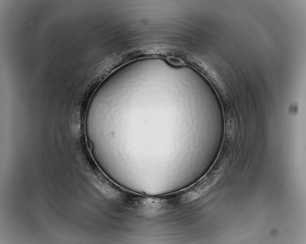 X0000100200261200806131236