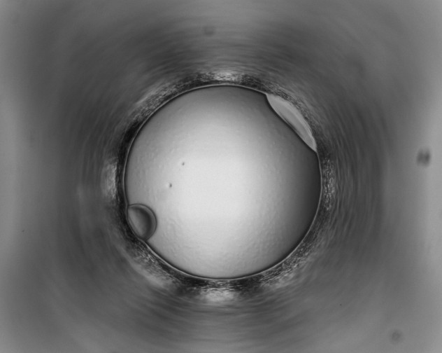 X0000100200262200806131236