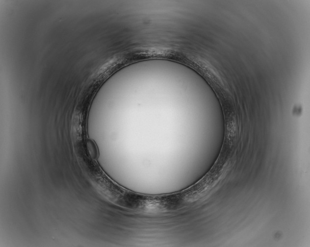 X0000100200264200806131236