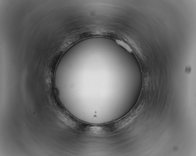 X0000100200265200806131236