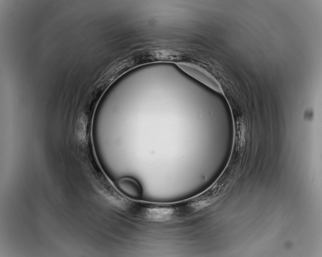 X0000100200266200806131236