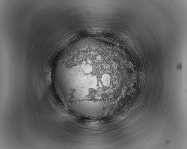 X0000100200267200806131236