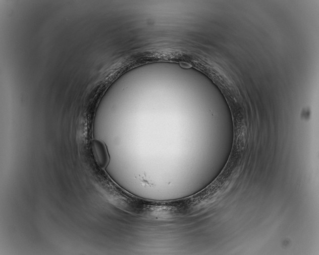 X0000100200268200806131236