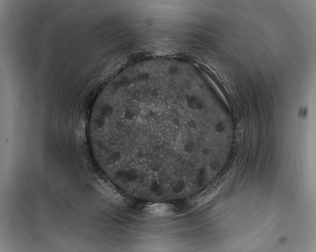 X0000100200269200806131236