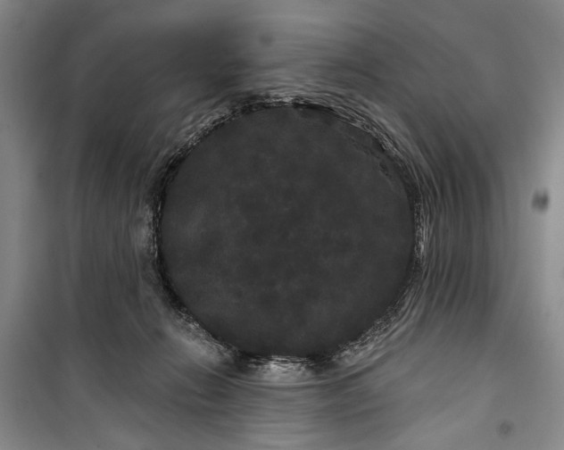 X0000100200270200806131236