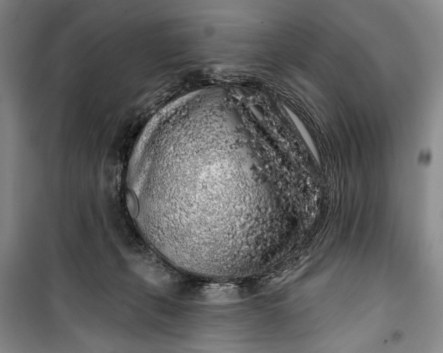 X0000100200271200806131236