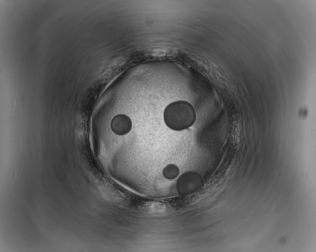 X0000100200272200806131236