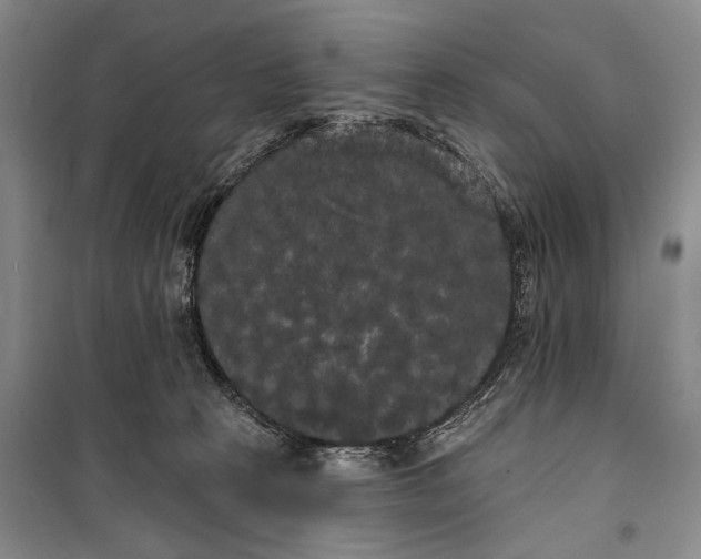 X0000100200273200806131236