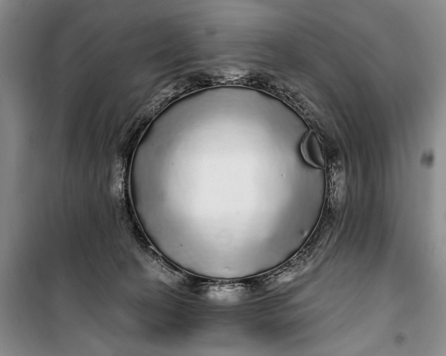 X0000100200274200806131236