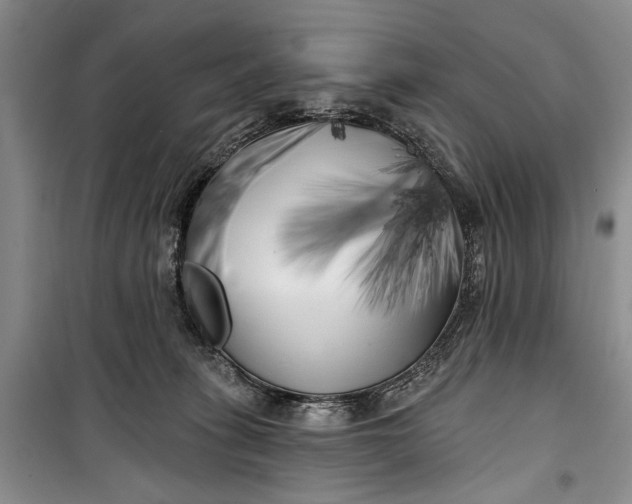 X0000100200275200806131237