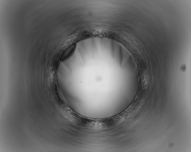 X0000100200276200806131237