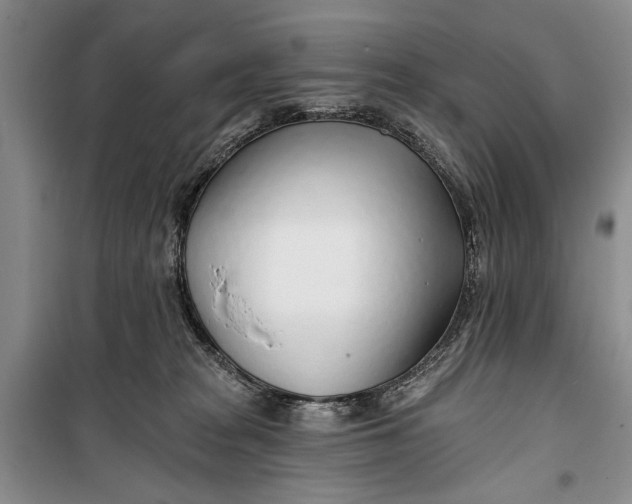 X0000100200277200806131237