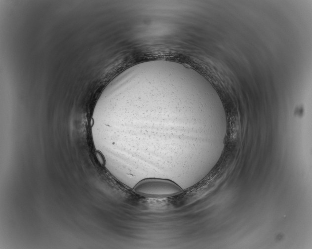 X0000100200279200806131237