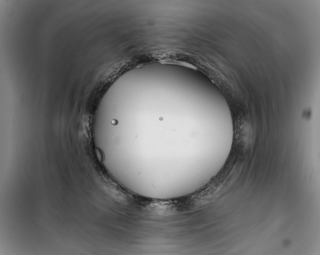 X0000100200280200806131237