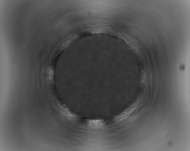 X0000100200281200806131237