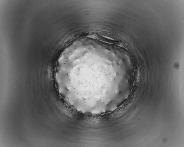 X0000100200282200806131237