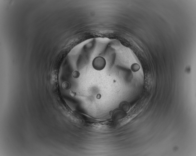 X0000100200284200806131237