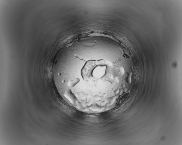 X0000100200285200806131237