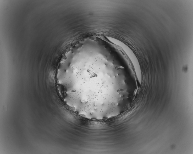 X0000100200286200806131237