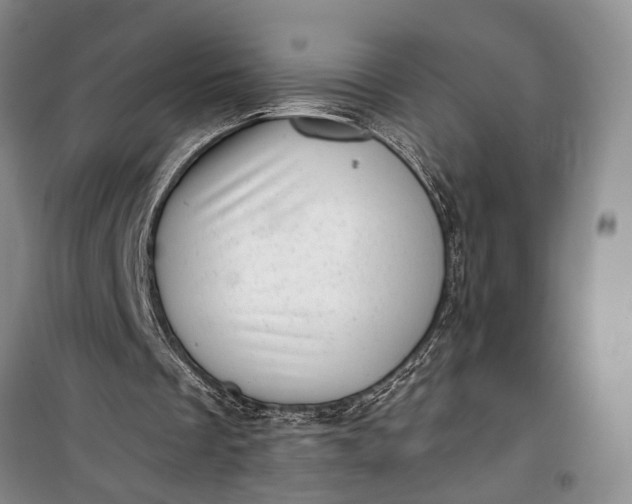 X0000100200289200806131236