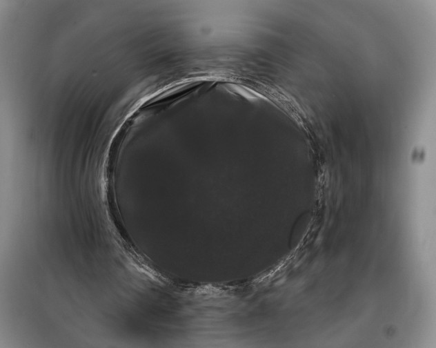 X0000100200290200806131236